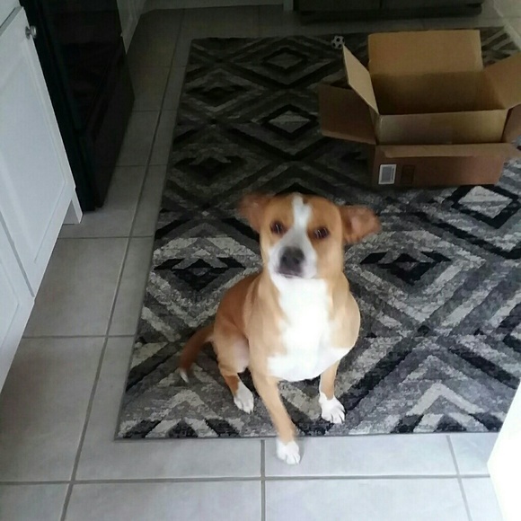 Clothes, Shoes, Jewelry and Handbags - Picture 5 of 5